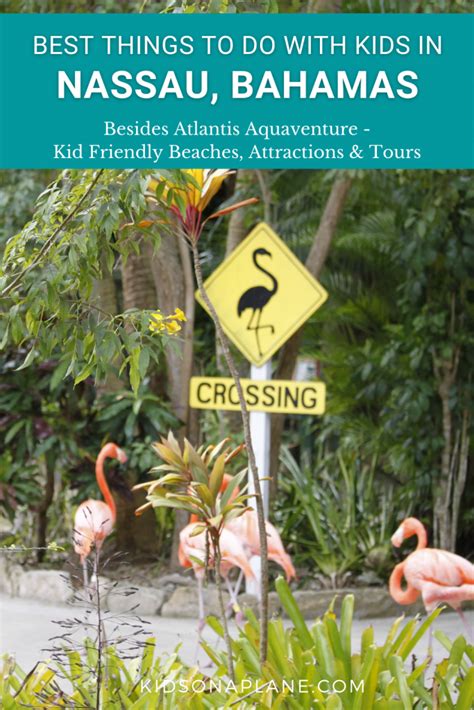 Best Things to Do with Kids in NASSAU BAHAMAS - Besides Atlantis - Kid ...