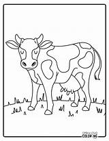 Cow Coloring Pages Free PDF Printables  Simply Love sketch template