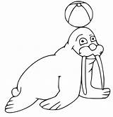 Walrus Letter W 1 Coloring  Play Free Game Online sketch template