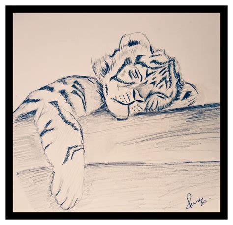 Sketch animal ,#Tiger #Sleepingtiger | Sleeping tiger, Animals, Tiger