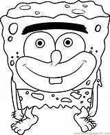 Sea Sponge Page Coloring Pages sketch template