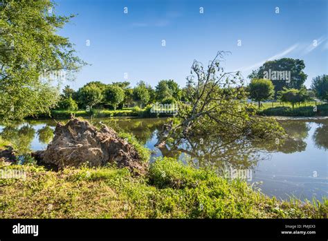 River bank erosion hi-res stock photography and images - Alamy