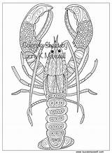 Lobster Coloring Page For Adults And Kids /  Etsy sketch template