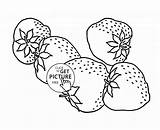 Fresh Strawberry Coloring Pages Learn To sketch template