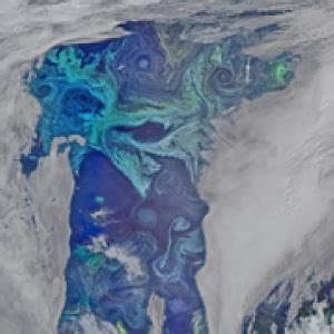 NASA PACE - Ocean Color Images: Categories