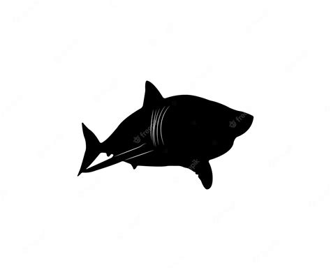 Premium Vector | Vector white shark silhouette isolated on white background