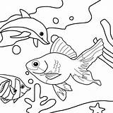 Ocean Sea Life Coloring Pages For Kids Animals  sketch template