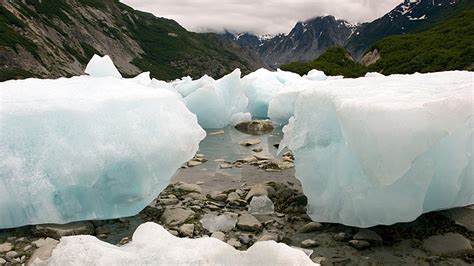 Gustavus Water Taxi :: Kayak Dropoffs and Tours in Gustavus, Alaska