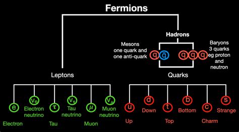 Fermions quarks and leptons -the building blocks of our universe - The ...