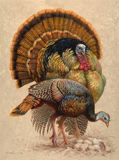 Pin by Carol Stenzel on animals | Turkey art, Thanksgiving art, Turkey painting