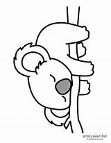 Koala Coloring Page Printable For Kids Pages sketch template