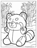Cute Red Panda Coloring Page sketch template