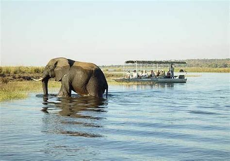 Chobe National Park - Alchetron, The Free Social Encyclopedia