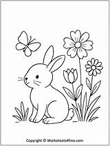 Free Bunny Coloring Page  Worksheets4Free sketch template