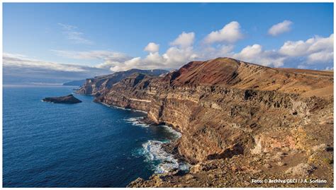 Exitosa restauración ambiental en Isla Guadalupe | Comisión Nacional de Áreas Naturales ...