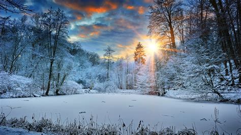 2560x1440 Sunbeams Landscape Snow In Winter Trees 4k 1440P Resolution ...