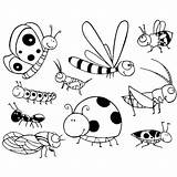 Cute Insects Coloring Page » Turkau sketch template