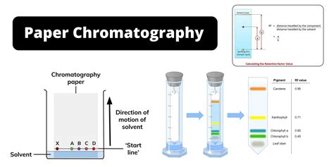 Chromatography: An Overview • Microbe Online, 56% OFF