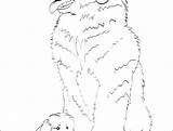 Newfoundland Coloring Pages At GetColoringscom  Free Printable sketch template