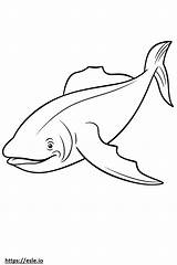 Blue Whale Baby coloring Page sketch template