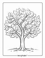 Tree Coloring Pages  World Of Printables sketch template