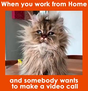 30+ Work From Home Memes: Funny Work Memes to Make You Laugh | Chanty