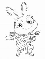 Insect Coloring Pages  Best For Kids sketch template