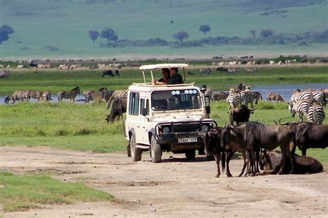 Serengeti Wildlife Safari - Detour Africa