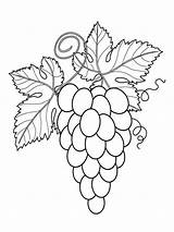 Grape coloring pages Download And Print sketch template