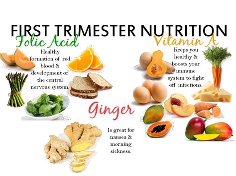 Foods To Eat And Avoid In The Pregnancy First Trimester Diet - Diet ...