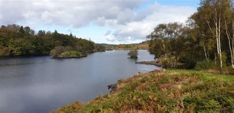 10 Best Trail Running Trails in Eryri National Park (Snowdonia) | AllTrails