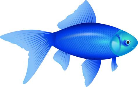 Clipart - not gold fish, ne auksinÄ— Å¾uvelÄ—