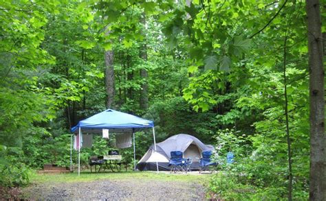 Black Forest Family Camping Resort - 3 Photos, 1 Reviews - Cedar