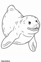 Leopard Seal Cartoon coloring page sketch template