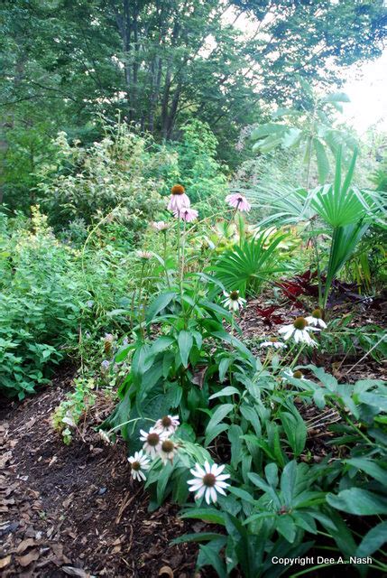 Plant Delights Nursery Lives Up to Its Name - Red Dirt Ramblings®