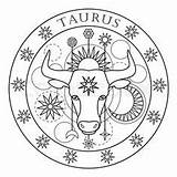 Taurus zodiac sign coloring Page For Adults  Fotolia 127187683 sketch template