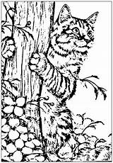 Cat coloring Page To Print  Coloring Pages sketch template