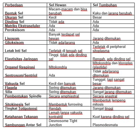 Persamaan Dan Perbedaan Sel Hewan Dan Tumbuhan
