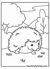 Hedgehog Coloring Pages Updated 2021 sketch template