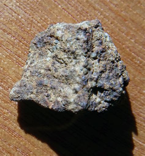 Meteorite Picture of the Day from Tucson Meteorites