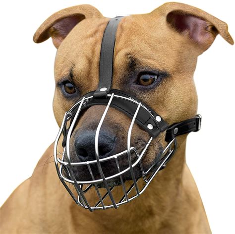 Best Dog Muzzle [2024] Top Muzzles for Dogs & Puppies [Reviews]
