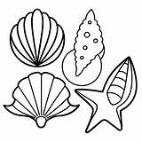 Seashell items Outline coloring Book Page Line Art Drawing  Premium AI sketch template