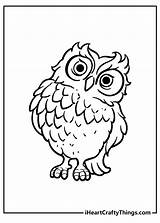 25 Wise Owl Coloring Pages sketch template