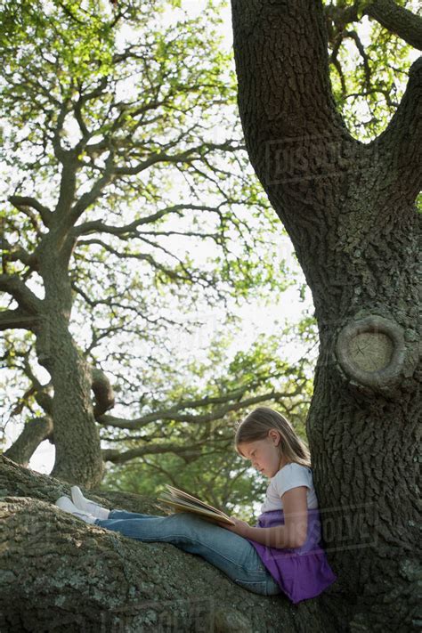 Girl reading book in tree - Stock Photo - Dissolve