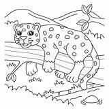 Jaguar Coloring Page For Kids Stock Vector  Illustration Of Cute sketch template