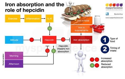 Tips to maximise iron absorption