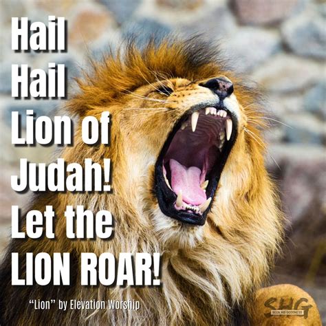 Lion of Judah | Lion of judah, Lion, Worship