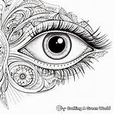 Eye Coloring Pages  Free & Printable sketch template