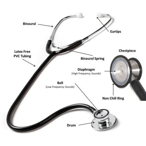 Understanding Your Stethoscope - Nurses Store | Medical school stuff, Basic anatomy and ...