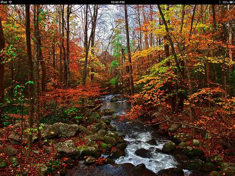 Pin by Cat Grist on Beautiful landscapes | Smoky mountain national park, Great smoky mountains ...